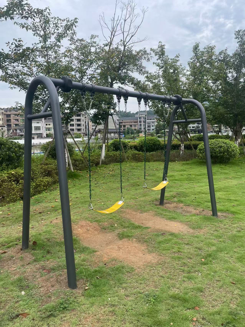 Outdoor Double Swing Set for Parks & Playgrounds
