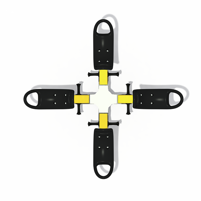 Multi-rider Seesaw