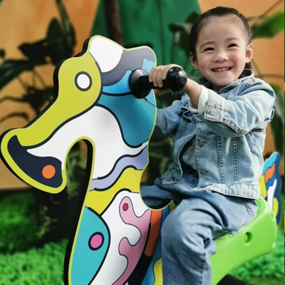 Color Can Be Customized Outdoor Spring Rider for Park