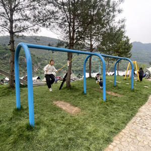 Outdoor Adult/Child Swing Set with Metal & Plastic Material for Community Parks School Playgrounds Trampoline Parks