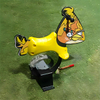 Outdoor Bird Spring Rider for Kids 