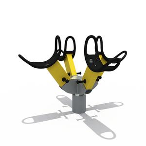 Multi-rider Seesaw